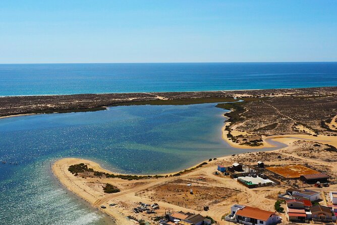 Boat Tour of 2 Ria Formosa Islands: Culatra and Armona - Wildlife Spotting: Binoculars Plus Flora and Fauna Commentary