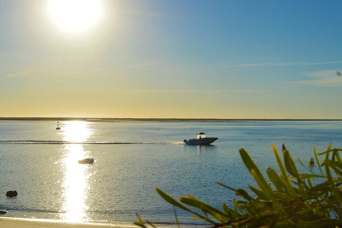 Boat Tour of 2 Ria Formosa Islands: Culatra and Armona - Nausea, Comfort, and Who This Tour Suits Best