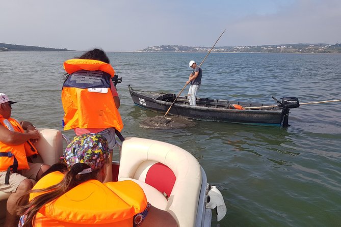 Boat tours in the Óbidos Lagoon - Cruising Lagoa de Óbidos with Miguel: wildlife, plants, and local stories