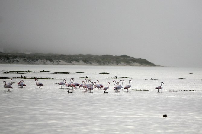 Boat tours in the Óbidos Lagoon - From Foz do Arelho or Óbidos to the ramp: how the trip actually starts
