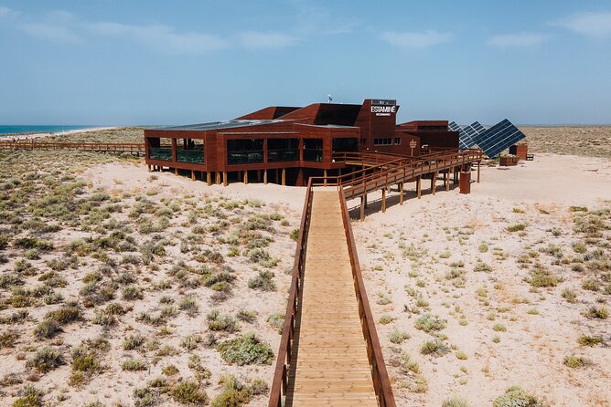 Boat trip from Faro to Ilha Deserta by Ferry - Where to meet in Faro, and how to get back again