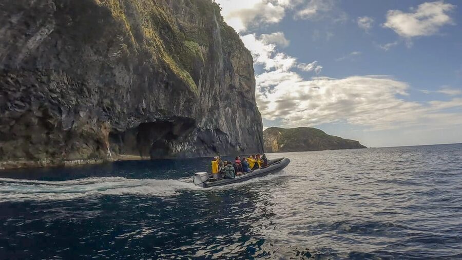 Boat Trip to Corvo and Island Sightseeing Tour - Dolphins and whales: you can’t control it, but you can respond well