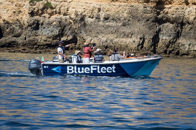 Boat Trip to Ponta da Piedade from Lagos - On the Water With BlueFleet: Comfort, Group Size, and Photo Tips