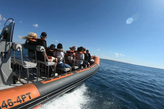 Boat trip to the caves of Benagil - Should you book this Benagil boat trip?