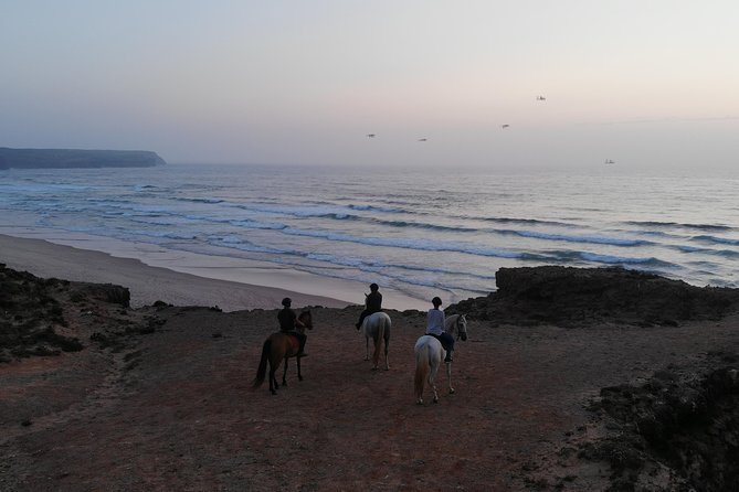 Bordeira Beach - Horse Riding Tour at Sunset - The 2-Hour Route: Forest, Dunes, Cliffs, and Then the Beach