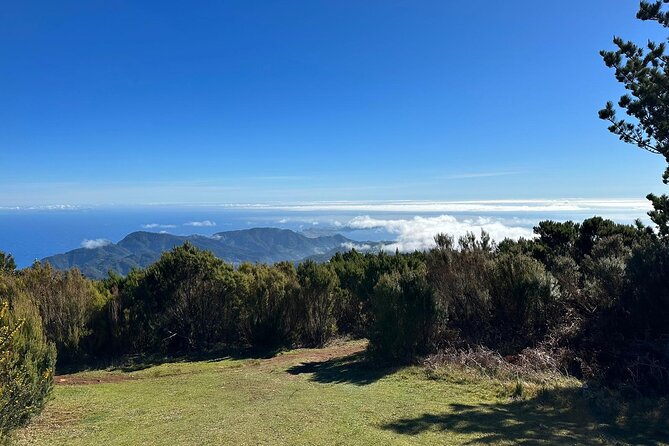 Botanical Trails of Madeira. Mountain biking Trail Experience - Skills Level: Perfect for Beginners, With Real-World Terrain