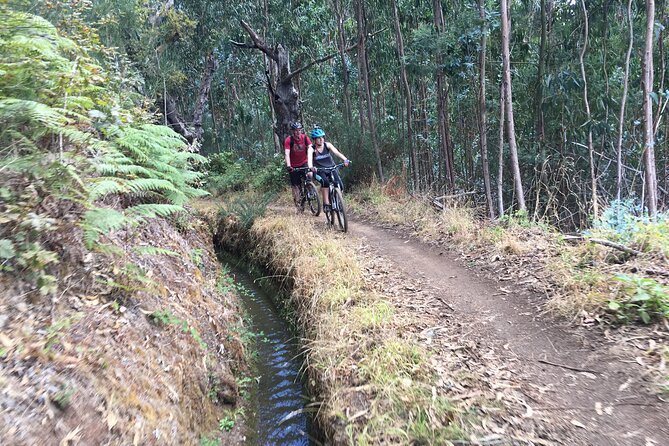 Botanical Trails of Madeira. Mountain biking Trail Experience - Price and Value Check for a 3 to 4 Hour Ride