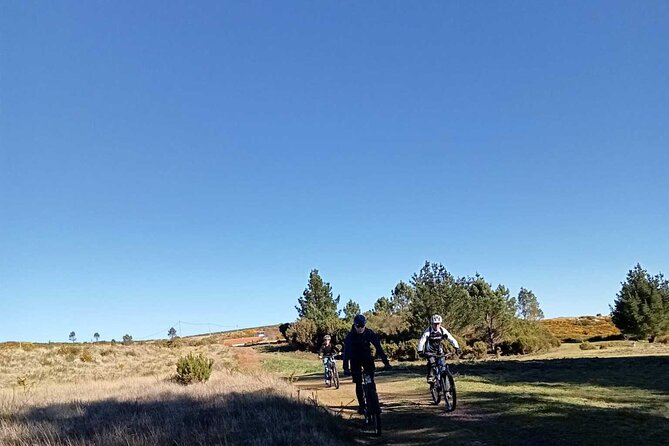Botanical Trails of Madeira. Mountain biking Trail Experience - Practical Tips So You Finish Feeling Proud, Not Frazzled