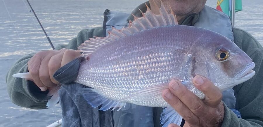 Bottom Fishing Lagos - The 4-hour rhythm on the water: spots, pauses, and coaching