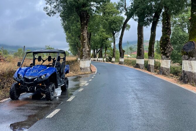 Buggy and Moto 4 Tours in Marvão - Key highlights you will feel fast