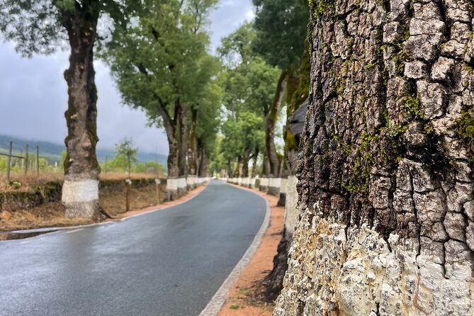 Buggy and Moto 4 Tours in Marvão - Marvão’s culture and historic stops, without museum fatigue