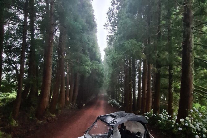 BUGGY TOUR - West / Center of the island (off-road) - What to wear and pack for a ride that gets messy
