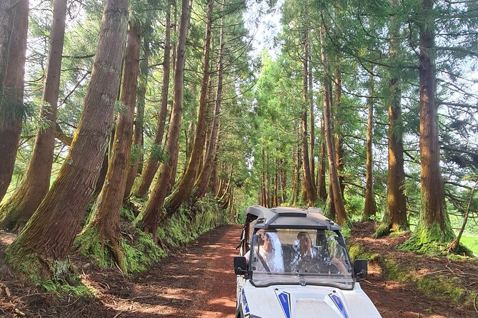 BUGGY TOUR - West / Center of the island (off-road) - Family-friendly fun, with the right expectations