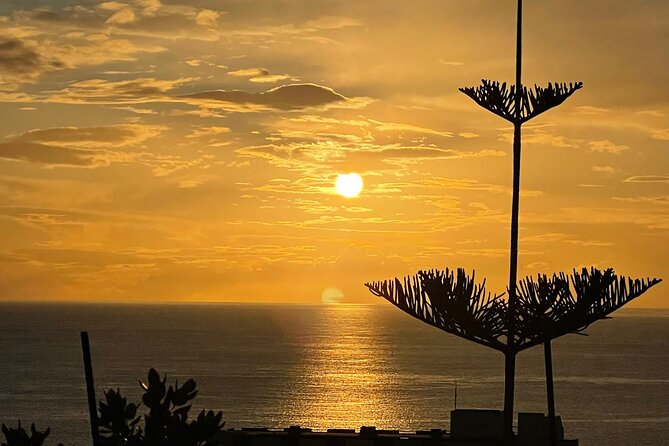 CABO GIRÃO (Half Day tour/3h) / Private Classic Car (4L). - Why this half-day tour fits Madeira perfectly