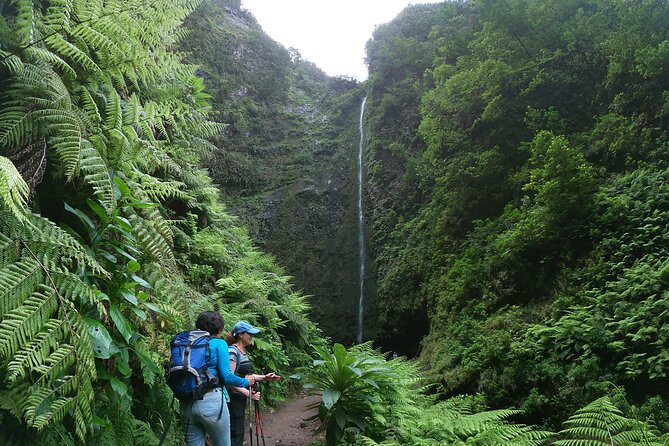 Caldeirão Verde Levada (PR 9) - Guided Madeira Levada Walk - The levada route: pace, tunnels, and narrow sections that demand attention