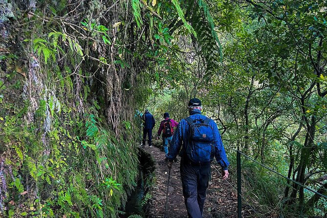 Caldeirão Verde Levada (PR 9) - Guided Madeira Levada Walk - The Caldeirão Verde waterfall moment: the emerald lagoon view