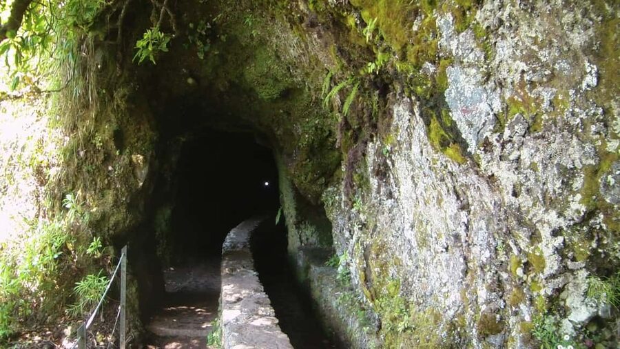 Caldeirão Verde: Queimadas PR9 Transfer and Self-Guided Hike - Price and value: what you’re paying for at about $38