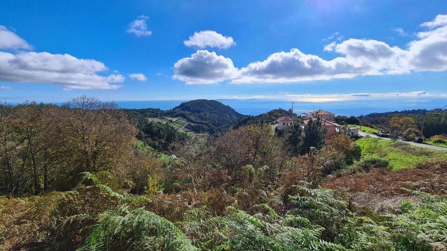 Camacha: Levada Trail e-Bike Guided Tour - Quick highlights