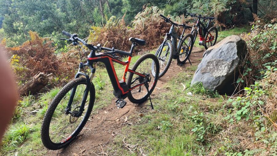 Camacha: Levada Trail e-Bike Guided Tour - Camacha start: fields, flowers, and a smooth way into forest