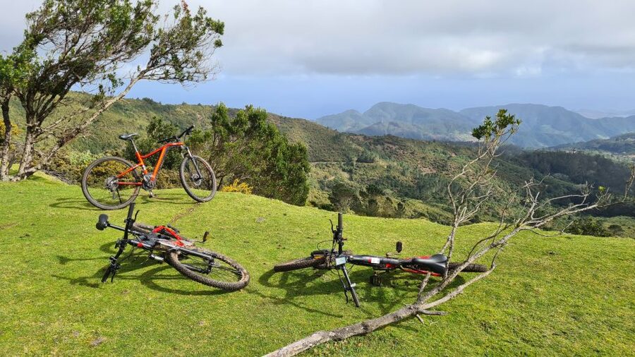 Camacha: Levada Trail e-Bike Guided Tour - Santo da Serra Market stop, then an oaks-and-levada return to Camacha