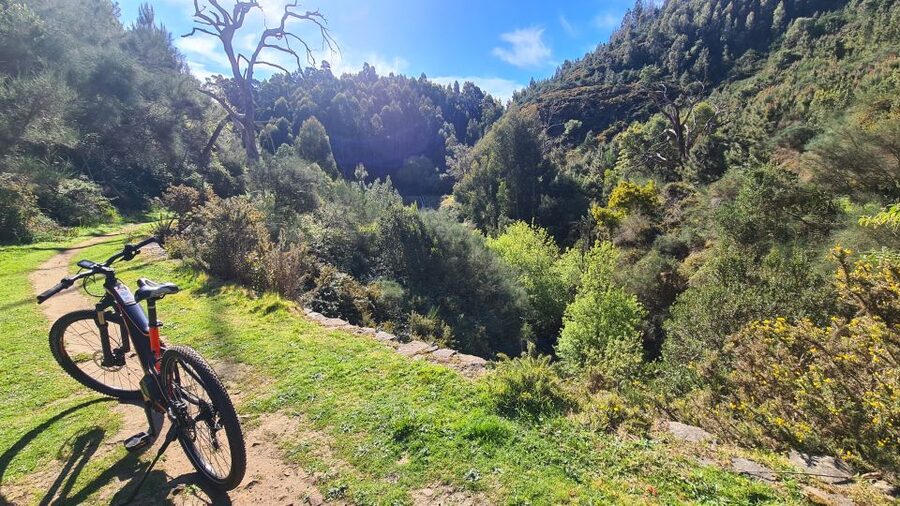 Camacha: Levada Trail e-Bike Guided Tour - Price and value: what $82 buys you in real convenience