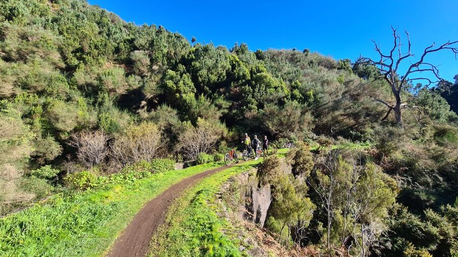 Camacha: Levada Trail e-Bike Guided Tour - Weather and trail reality: why rain changes everything on this route