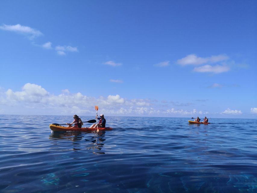 Caniço, Madeira: Marine Reserve Kayak & Snorkelling Tour - Guide style, group size, and why the experience feels “managed”