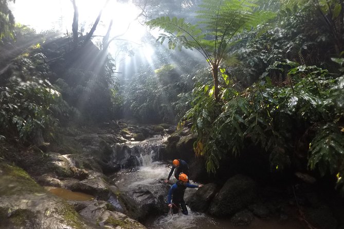 Canyoning Experience at Ribeira Grande - Price and Value: Why This Adventure Lands Around $90.70