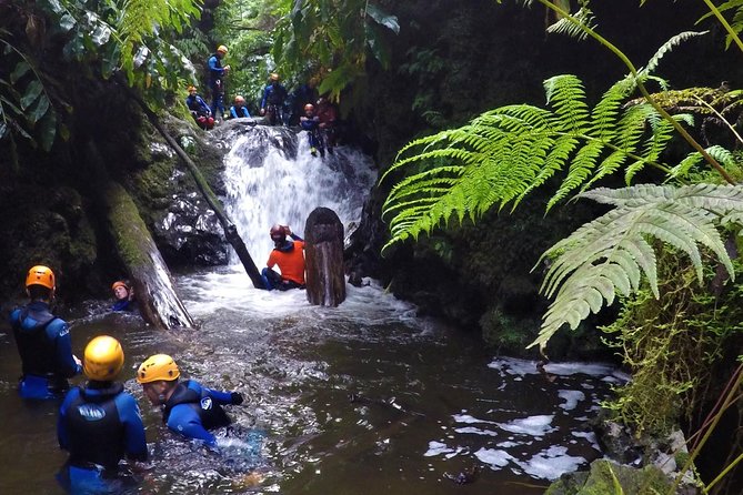 Canyoning Experience at Ribeira Grande - The Gear and Briefing That Keep It Fun, Not Frantic