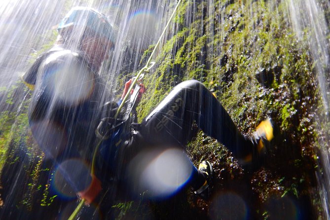 Canyoning Experience - half day - Guides, safety, and that small-group coaching vibe