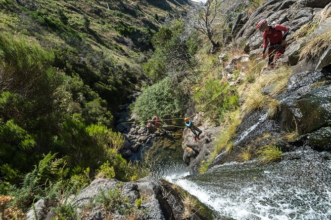Canyoning in Madeira: Ribeira das Cales - Funchal Ecological Park - Photos, Timing, and How the Day Wraps Up