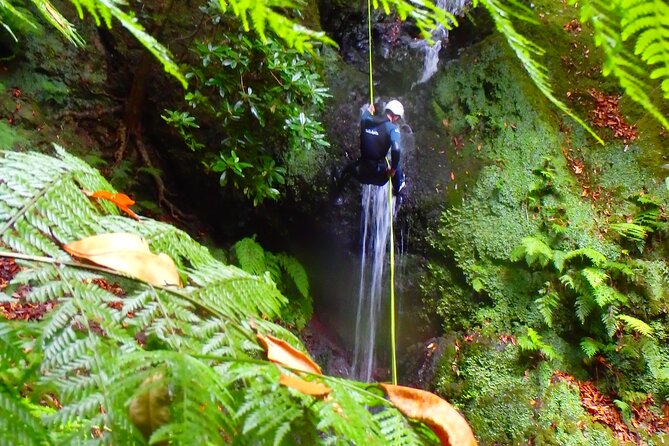 Canyoning Madeira Island - Level One - Rappels, Water Slides, and Jump Pools, Step by Step