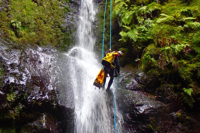 Canyoning Madeira Island - Level Two - Rappelling waterfalls and following the stream: the core route