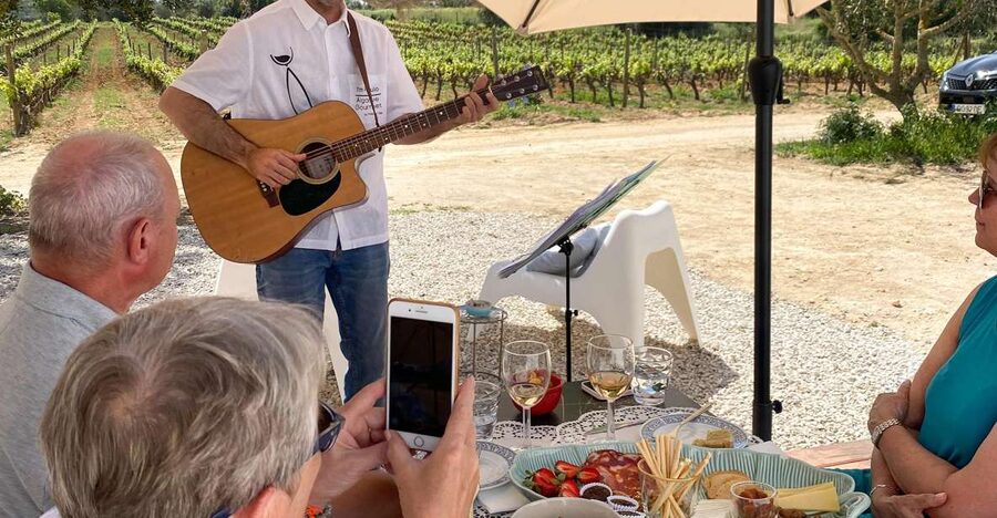 Carvoeiro/Portimão/Alvor: Wine Tour w/ Tasting, Tapas, Music - The vineyard walkthrough with Paulo: what you learn and why it helps