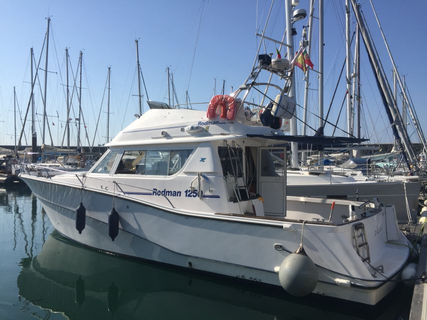 Cascais Deep-Sea Fishing Trip - Species You Can Expect to Catch in Cascais Bay