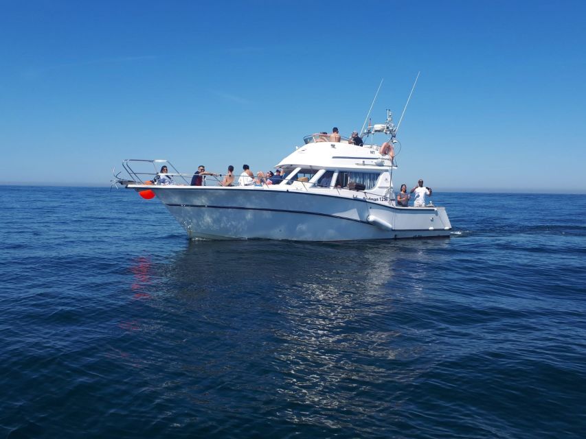 Cascais Deep-Sea Fishing Trip - Half-Day vs Full-Day: Choosing the Right Length for Your Day