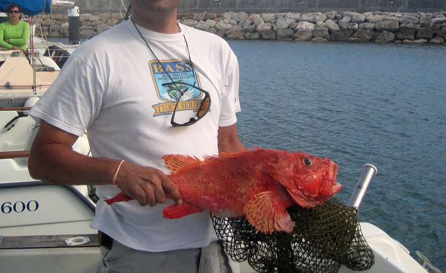 Cascais Deep-Sea Fishing Trip - Who This Trip Fits Best (and Who Might Be Happier Elsewhere)