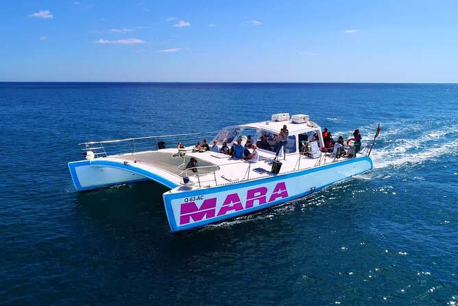 Catamaran BBQ on the Beach: Cruise to Benagil Caves - Getting there on time: 10:00 am really means 10:00 am