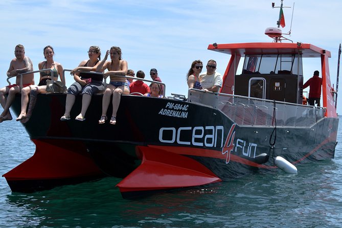 Catamaran Tour to Benagil Caves - Key Highlights at a Glance