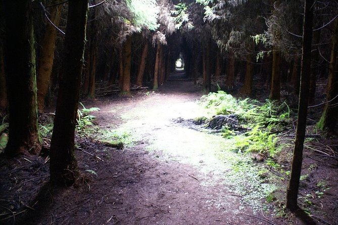 Cave Tour in Terceira - Guides Make It Personal, From Dora to Antonio