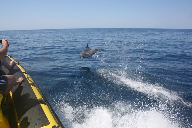 Caves and Dolphin Watching Cruise from Albufeira - Benagil caves time: close-up moments, and what can change