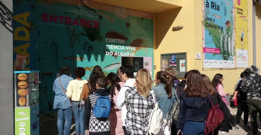 CCVAlgarve Individual Ticket - Key Highlights Worth Your Time