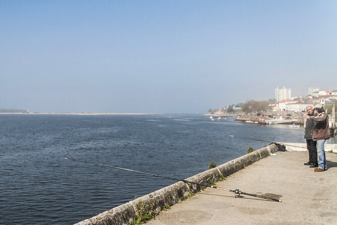 City Bike Rental in Porto - Why Porto Cycling Feels Manageable in Real Life