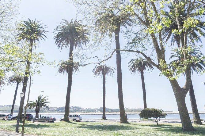 City Bike Rental in Porto - A One-Day Porto Cycling Plan (So You Do Not Waste Time)