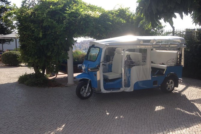 City of Neighborhoods Tour 1H 30M Private Tour by Tuk Tuk - Alfama, The Hill Streets That Lead Toward Castelo Energy