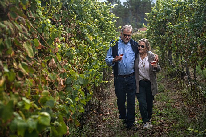 Classic Tasting | Quinta de Santa Cristina Vinho Verde - The on-site shop: a smart way to take the experience home