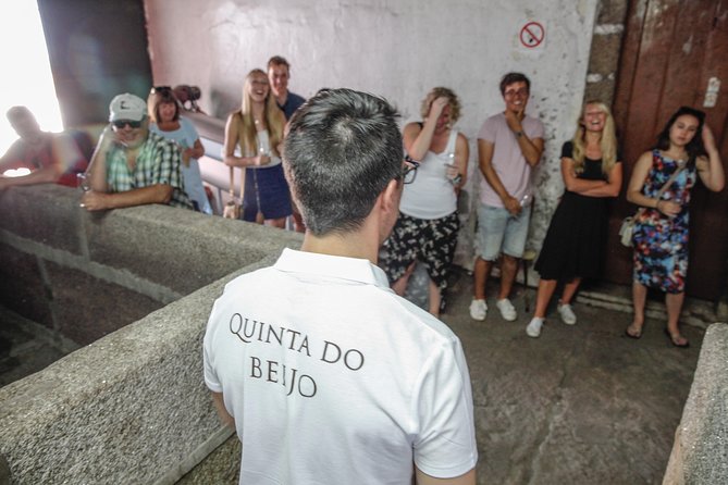 Classic Wine Tasting with GUIDED TOUR - The timing and flow: a guided wine loop in under an hour