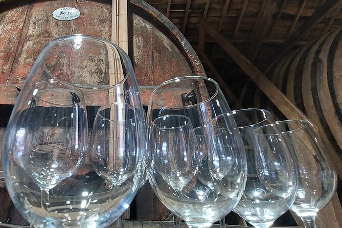 Classic Wine Tasting with GUIDED TOUR - What you get from a guided English tour that actually teaches