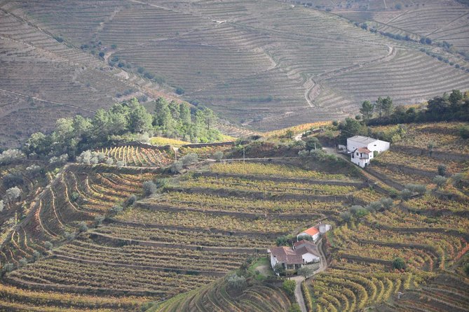 Classic Wine Tasting with GUIDED TOUR - Meeting point and what to do before you arrive