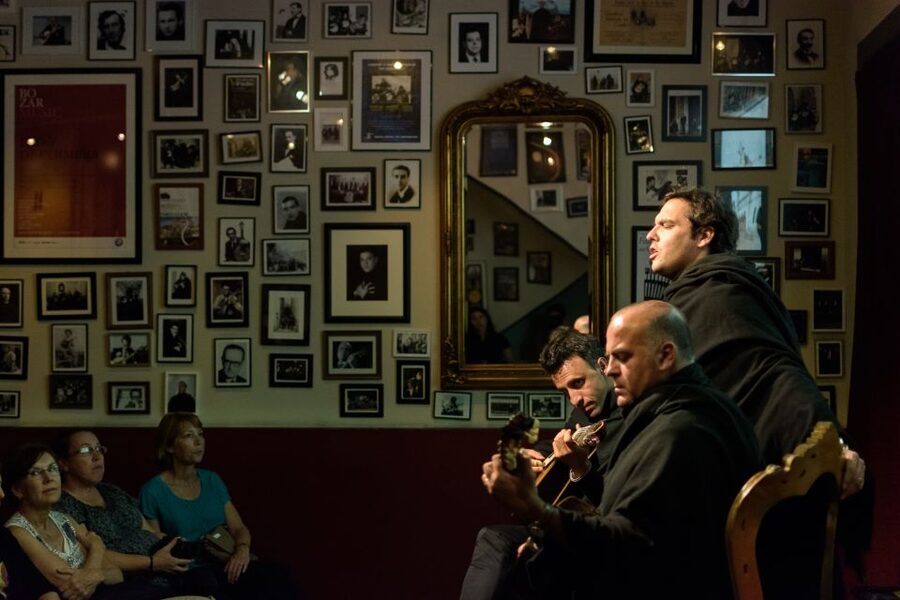 Coimbra: Live Fado Show with Glass of Port Wine - During the concert: pacing, explanations, and the video screen question